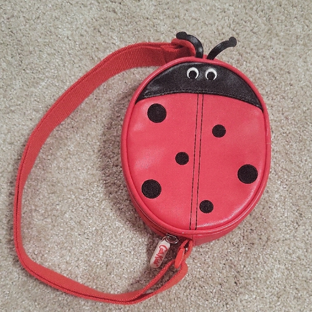 Red and Black Ladybug Bag